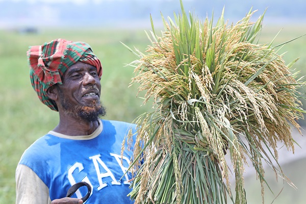 ছবিঘর ২৯ ই এপ্রিল ২০২৩